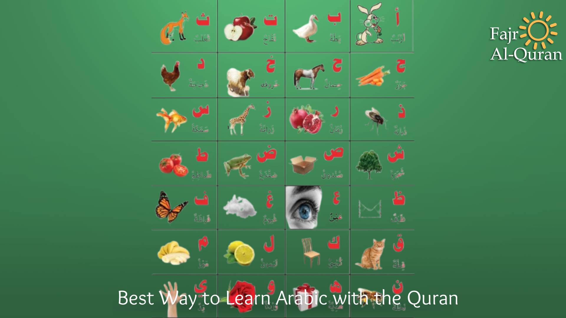 Best Way to Learn Arabic with the Quran